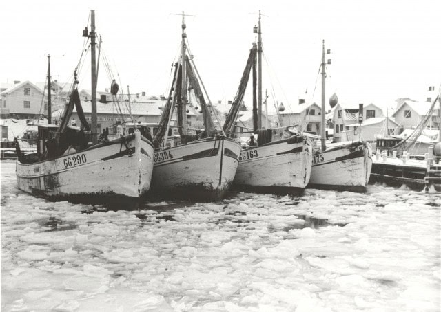 Fiskebåtar , Tången, ca 1960